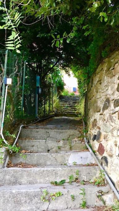La Casa Novella, A 450 Metri Dal Mare Daire Moneglia Dış mekan fotoğraf