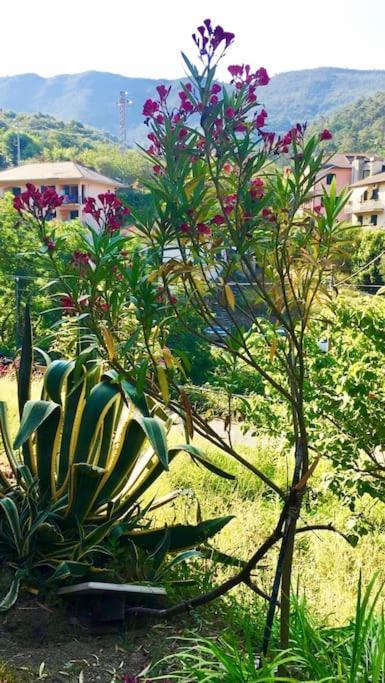 La Casa Novella, A 450 Metri Dal Mare Daire Moneglia Dış mekan fotoğraf