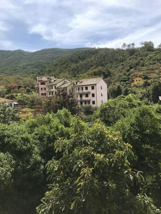 La Casa Novella, A 450 Metri Dal Mare Daire Moneglia Dış mekan fotoğraf